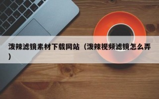 泼辣滤镜素材下载网站（泼辣视频滤镜怎么弄）