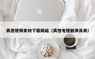 真想视频素材下载网站（真想电视剧演员表）