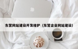 东营网站建设开发维护（东营企业网站建设）