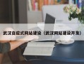 武汉自应式网站建设（武汉网站建设开发）