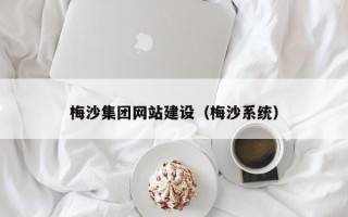 梅沙集团网站建设（梅沙系统）